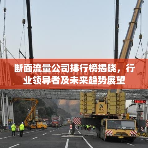 斷面流量公司排行榜揭曉，行業(yè)領(lǐng)導(dǎo)者及未來趨勢展望