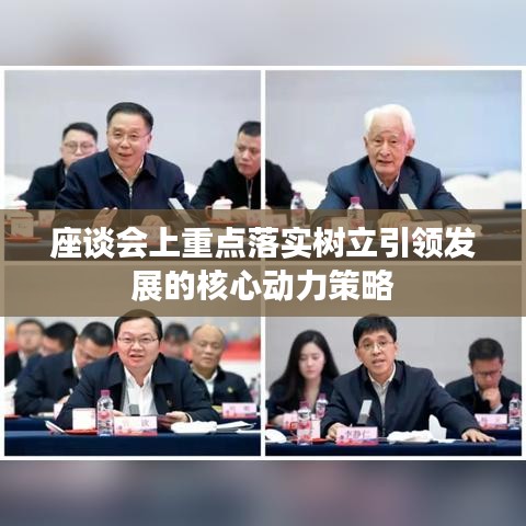 座談會上重點(diǎn)落實(shí)樹立引領(lǐng)發(fā)展的核心動(dòng)力策略