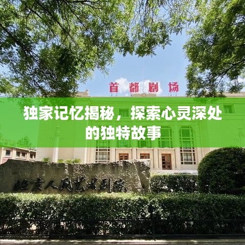 獨(dú)家記憶揭秘，探索心靈深處的獨(dú)特故事