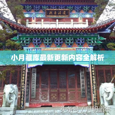 小月藏庫(kù)最新更新內(nèi)容全解析
