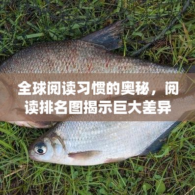 全球閱讀習(xí)慣的奧秘，閱讀排名圖揭示巨大差異！