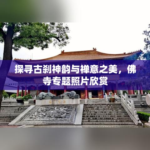 探尋古剎神韻與禪意之美，佛寺專題照片欣賞
