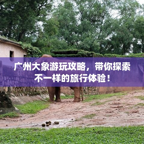 廣州大象游玩攻略，帶你探索不一樣的旅行體驗(yàn)！