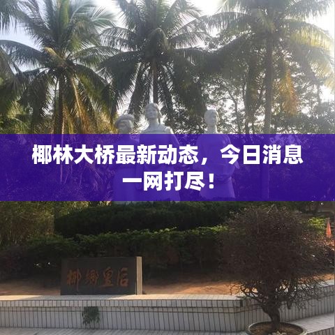 椰林大橋最新動(dòng)態(tài)，今日消息一網(wǎng)打盡！