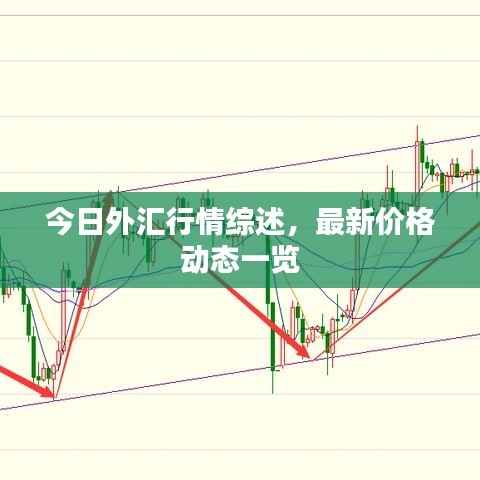 今日外匯行情綜述，最新價(jià)格動(dòng)態(tài)一覽