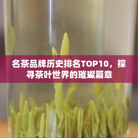 名茶品牌歷史排名TOP10，探尋茶葉世界的璀璨篇章