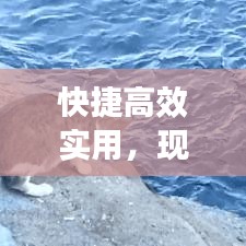 快捷高效實(shí)用，現(xiàn)代生活的首選生活方式