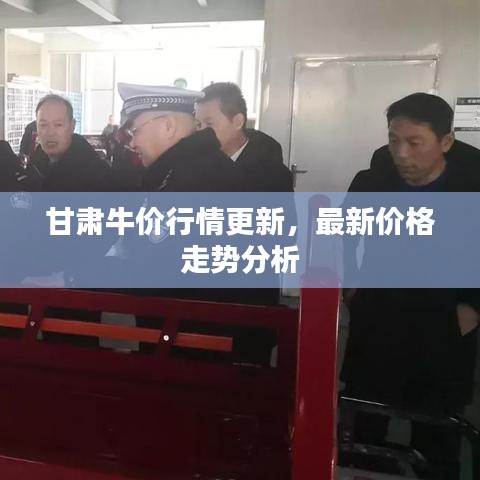 甘肅牛價(jià)行情更新，最新價(jià)格走勢分析