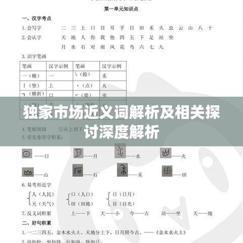 獨家市場近義詞解析及相關(guān)探討深度解析