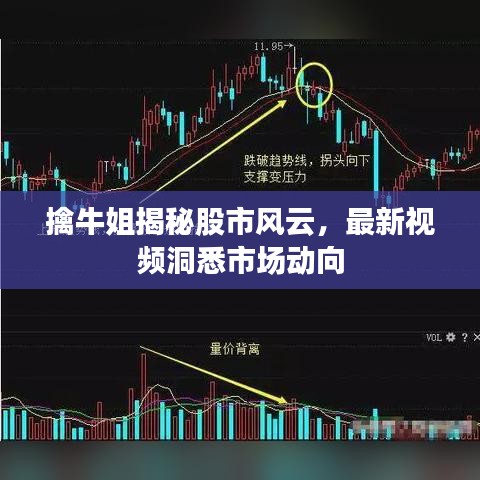 擒牛姐揭秘股市風(fēng)云，最新視頻洞悉市場動向