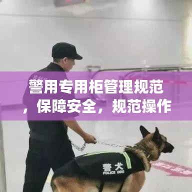 警用專用柜管理規(guī)范，保障安全，規(guī)范操作，提升警務(wù)效率