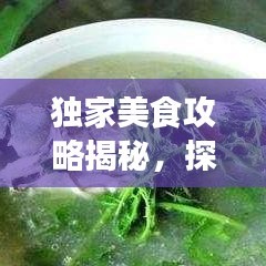 獨家美食攻略揭秘，探索味蕾盛宴的極致之旅