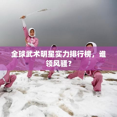 全球武術(shù)明星實(shí)力排行榜，誰領(lǐng)風(fēng)騷？