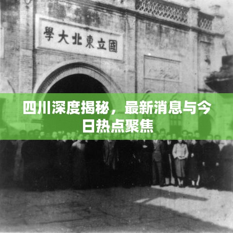 四川深度揭秘，最新消息與今日熱點聚焦