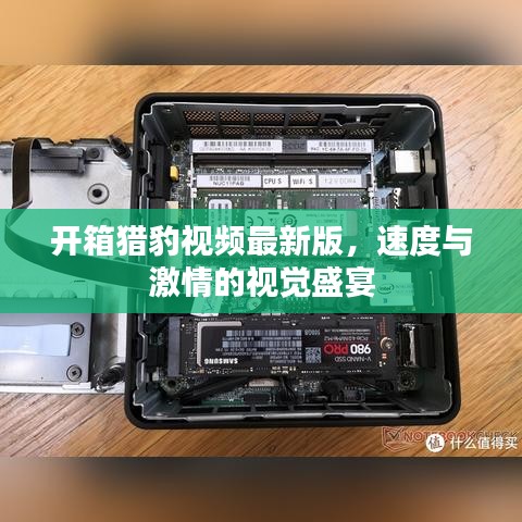 開箱獵豹視頻最新版，速度與激情的視覺盛宴