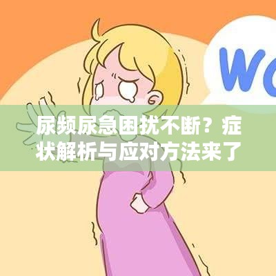 尿頻尿急困擾不斷？癥狀解析與應(yīng)對方法來了！