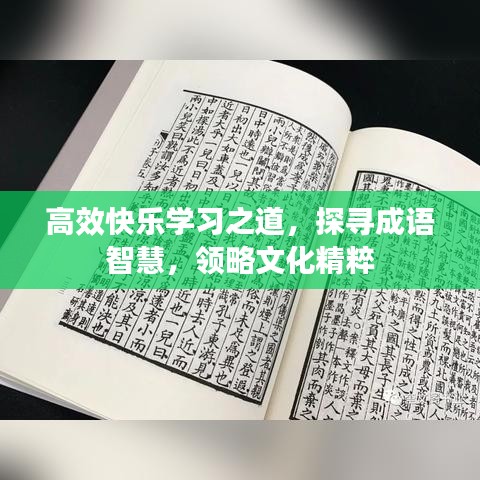 高效快樂學(xué)習(xí)之道，探尋成語智慧，領(lǐng)略文化精粹