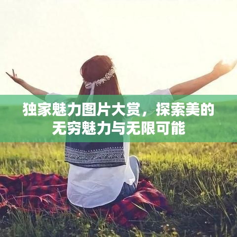 飛箭如蝗 第2頁
