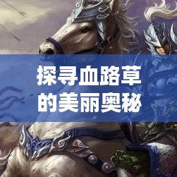 探尋血路草的美麗奧秘，百度圖片帶你領(lǐng)略血路草的風(fēng)采