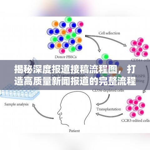 揭秘深度報(bào)道接稿流程圖，打造高質(zhì)量新聞報(bào)道的完整流程揭秘