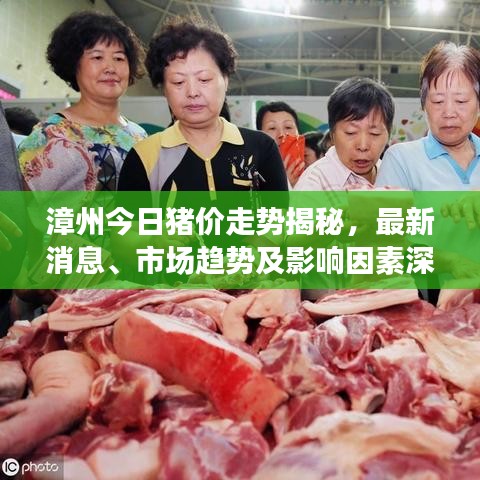 漳州今日豬價(jià)走勢(shì)揭秘，最新消息、市場(chǎng)趨勢(shì)及影響因素深度解析