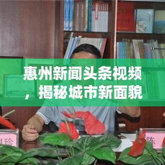 惠州新聞頭條視頻，揭秘城市新面貌，精彩內(nèi)容不容錯過