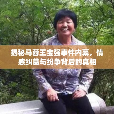 揭秘馬蓉王寶強(qiáng)事件內(nèi)幕，情感糾葛與紛爭背后的真相