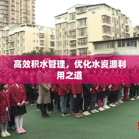 高效積水管理，優(yōu)化水資源利用之道