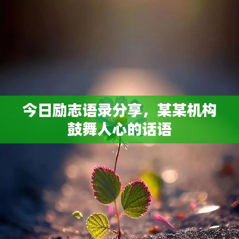 今日勵(lì)志語(yǔ)錄分享，某某機(jī)構(gòu)鼓舞人心的話(huà)語(yǔ)