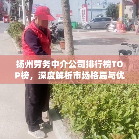 揚(yáng)州勞務(wù)中介公司排行榜TOP榜，深度解析市場(chǎng)格局與優(yōu)質(zhì)服務(wù)商！