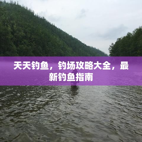 天天釣魚，釣場攻略大全，最新釣魚指南