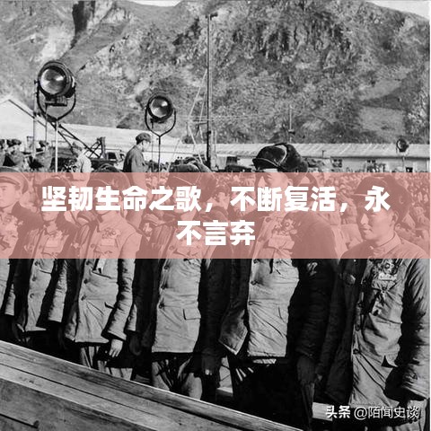 堅韌生命之歌，不斷復(fù)活，永不言棄