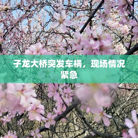 子龍大橋突發(fā)車禍，現(xiàn)場情況緊急
