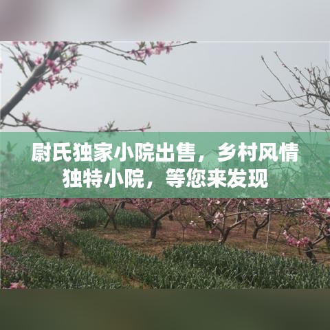 尉氏獨家小院出售，鄉(xiāng)村風情獨特小院，等您來發(fā)現