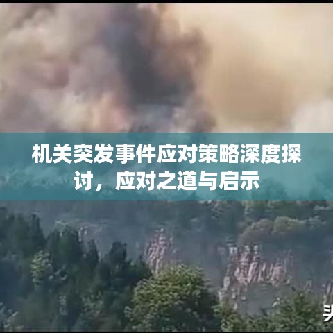 機關(guān)突發(fā)事件應(yīng)對策略深度探討，應(yīng)對之道與啟示
