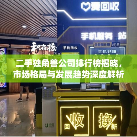 二手獨(dú)角獸公司排行榜揭曉，市場(chǎng)格局與發(fā)展趨勢(shì)深度解析