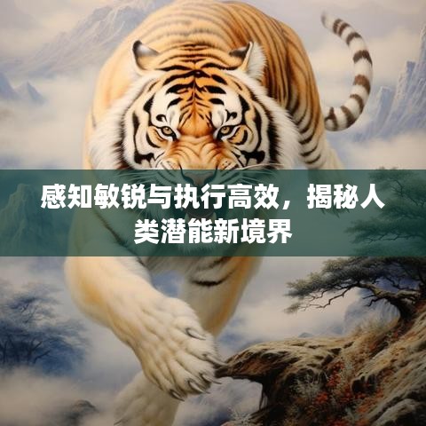 感知敏銳與執(zhí)行高效，揭秘人類潛能新境界