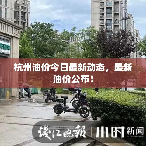 杭州油價(jià)今日最新動(dòng)態(tài)，最新油價(jià)公布！