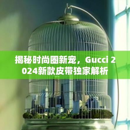 揭秘時(shí)尚圈新寵，Gucci 2024新款皮帶獨(dú)家解析