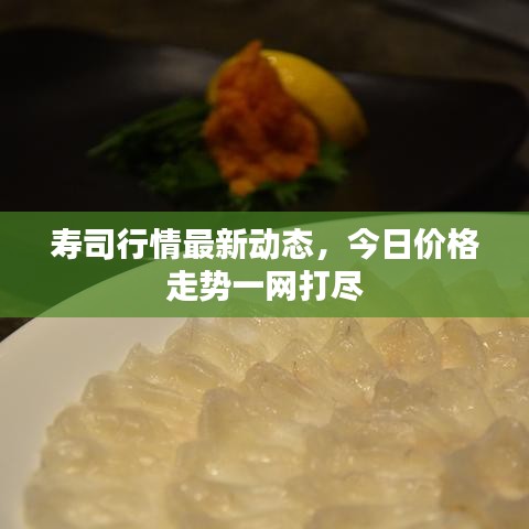 壽司行情最新動(dòng)態(tài)，今日價(jià)格走勢(shì)一網(wǎng)打盡