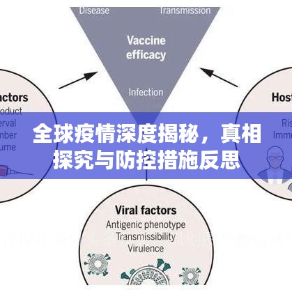 全球疫情深度揭秘，真相探究與防控措施反思
