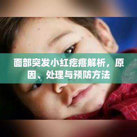 面部突發(fā)小紅疙瘩解析，原因、處理與預(yù)防方法