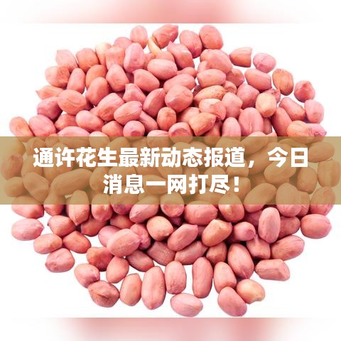 通許花生最新動(dòng)態(tài)報(bào)道，今日消息一網(wǎng)打盡！
