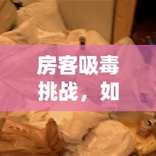 房客吸毒挑戰(zhàn)，如何應對與責任擔當專題解析