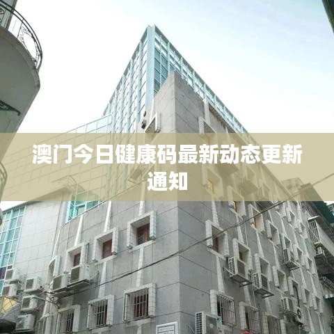 澳門今日健康碼最新動(dòng)態(tài)更新通知