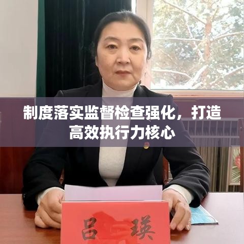制度落實(shí)監(jiān)督檢查強(qiáng)化，打造高效執(zhí)行力核心