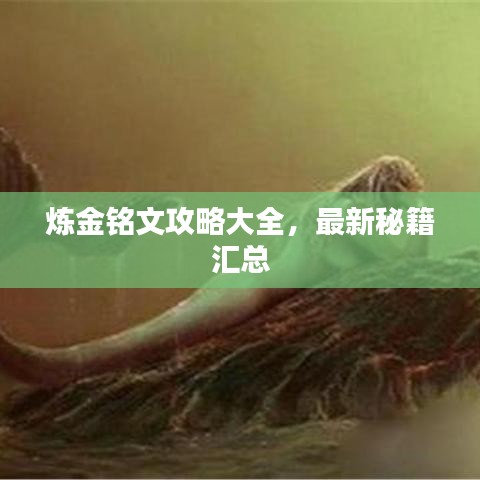 煉金銘文攻略大全，最新秘籍匯總