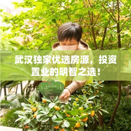 武漢獨(dú)家優(yōu)選房源，投資置業(yè)的明智之選！