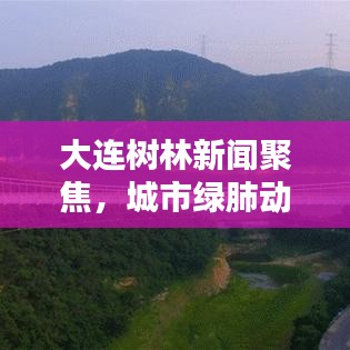 大連樹林新聞聚焦，城市綠肺動(dòng)態(tài)更新
