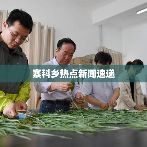 寨科鄉(xiāng)熱點(diǎn)新聞速遞